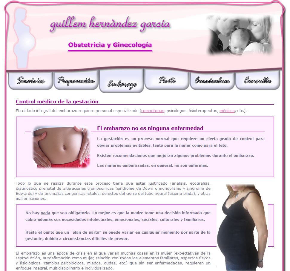 Ejemplo de web - Parto y Embarazo